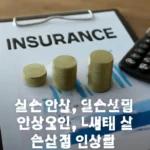 실손보험 인상